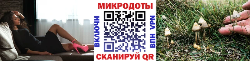 Купить  Рудня  Галлюциногенные грибы мухоморы 