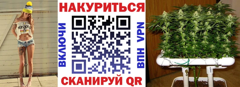 Купить закладки  Рудня  Марихуана гибрид 
